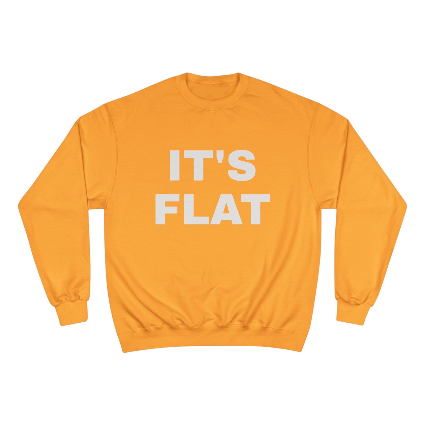 IT'S FLAT ~ Champion Sweatshirt