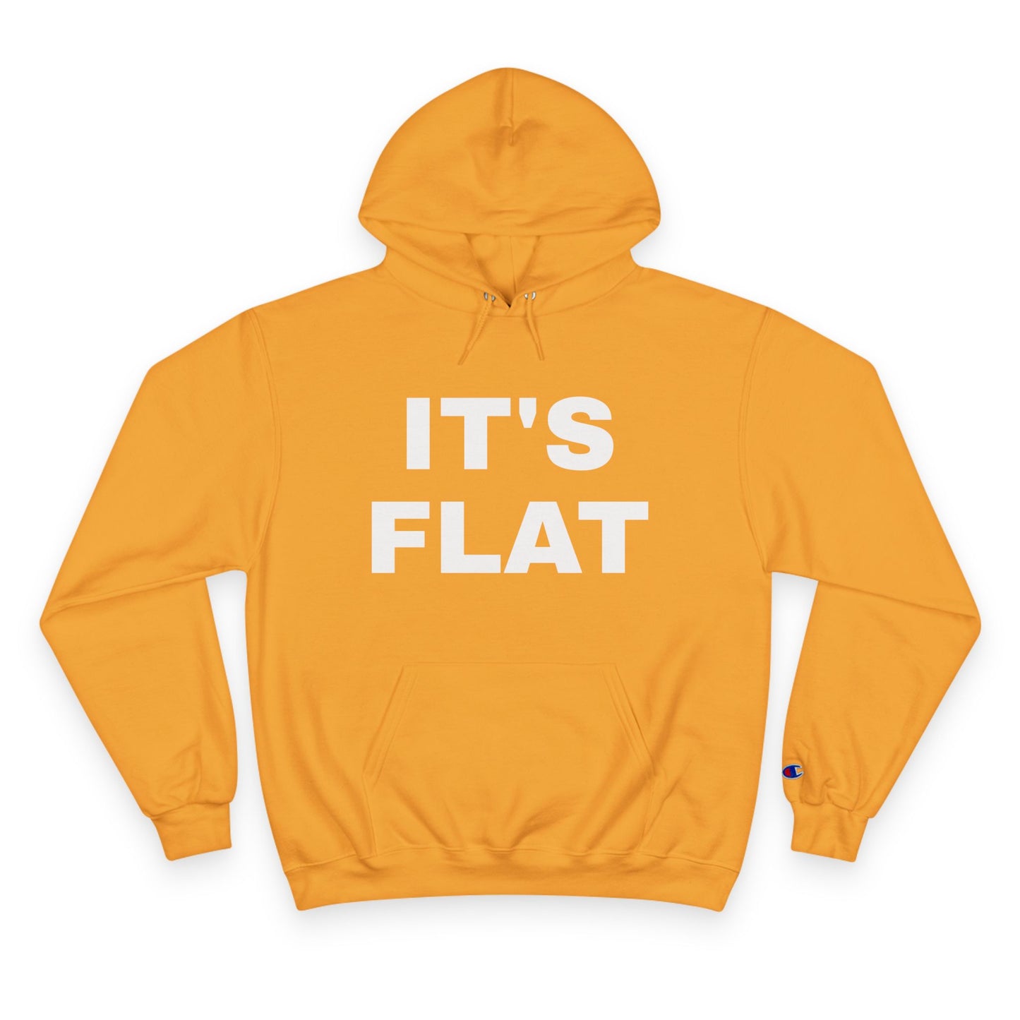 IT'S FLAT ~ Champion Hoodie
