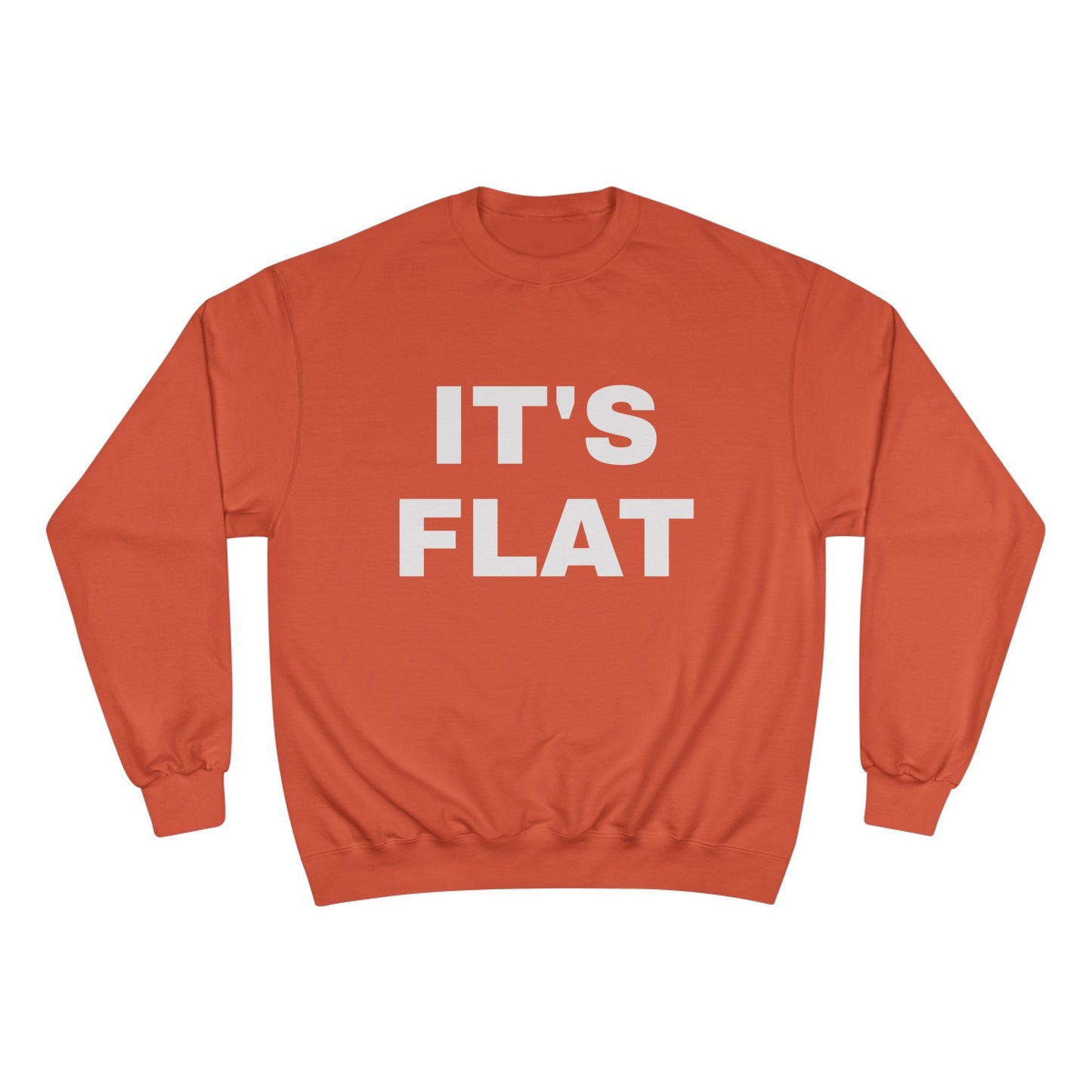 IT'S FLAT ~ Champion Sweatshirt